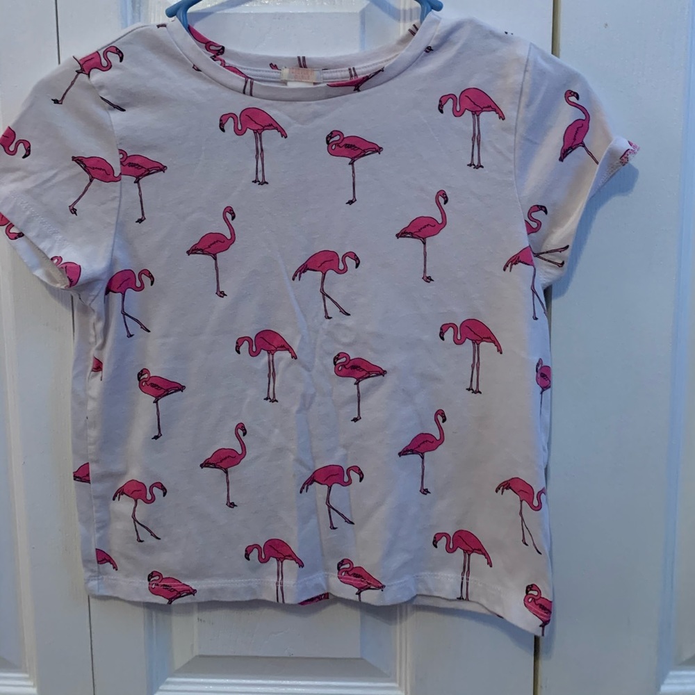 flamingo shirt, kind of crop